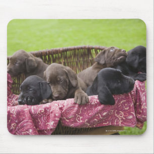 Alfombrilla De Ratón Cesta de perritos del labrador retriever