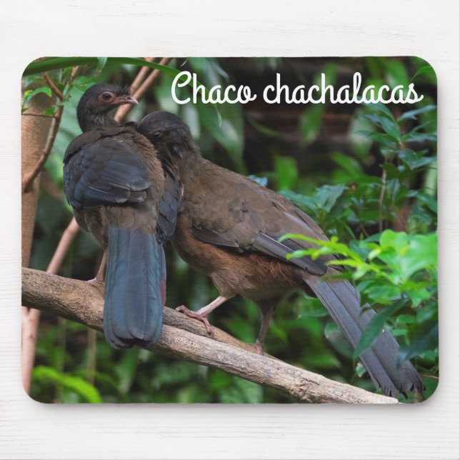 Alfombrilla De Ratón Chaco Chachalacas (Frente)