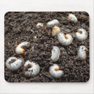 Alfombrilla De Ratón Chafer Larva Mouse Mat