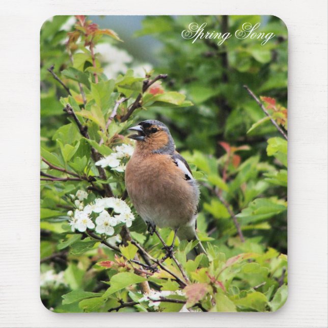 ALFOMBRILLA DE RATÓN CHAFFINCH (Frente)