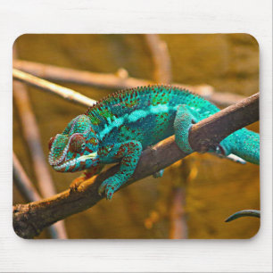 Alfombrilla De Ratón Chameleers, lagartos, reptiles