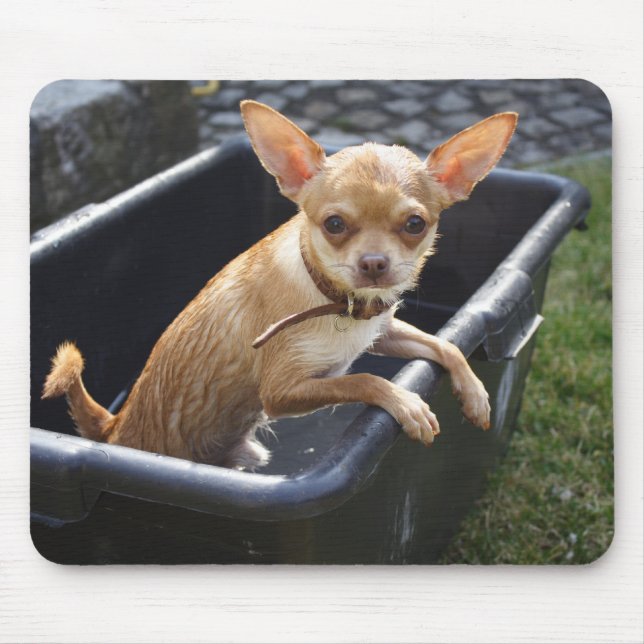 Alfombrilla De Ratón Charlie Chihuahua (Frente)