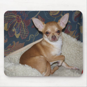 Alfombrilla De Ratón Charlie Chihuahua