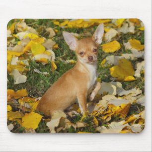 Alfombrilla De Ratón Charlie Chihuahua