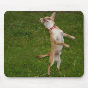 Alfombrilla De Ratón Charlie Chihuahua