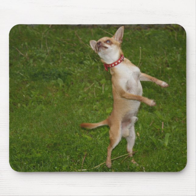 Alfombrilla De Ratón Charlie Chihuahua (Frente)