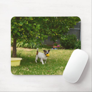 Alfombrilla De Ratón Charlie The Fox Terrier Ball Play, Mousepad
