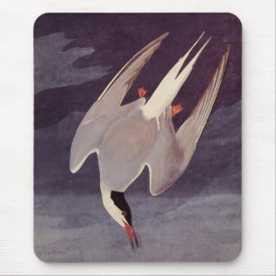 Alfombrilla De Ratón Charrán Ártico por John James Audubon, Aves Antigu