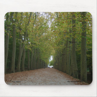 Alfombrilla De Ratón Chateau de Chenonceau Mousepad