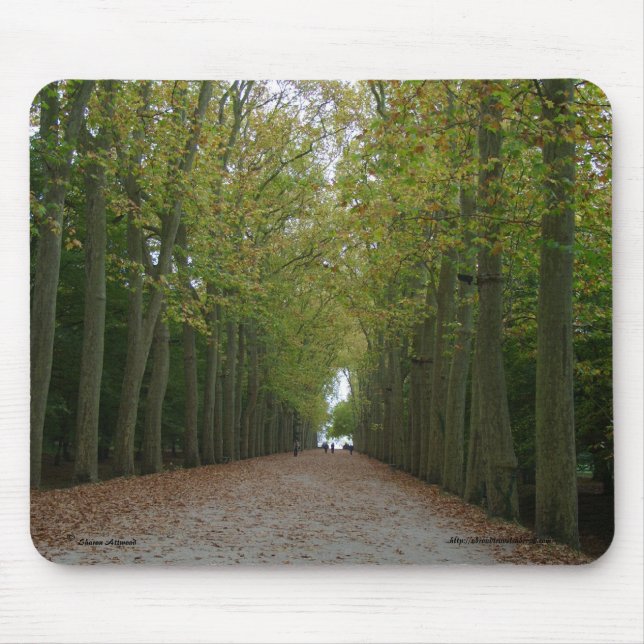 Alfombrilla De Ratón Chateau de Chenonceau Mousepad (Frente)