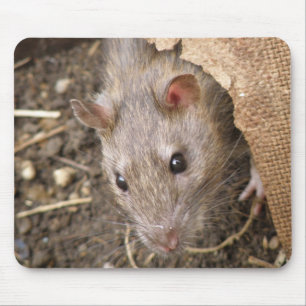 Alfombrilla De Ratón Cheeky Rat Mousepad
