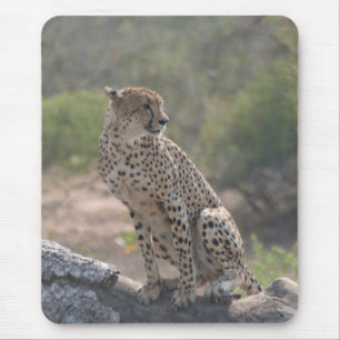 Alfombrilla De Ratón Cheetah