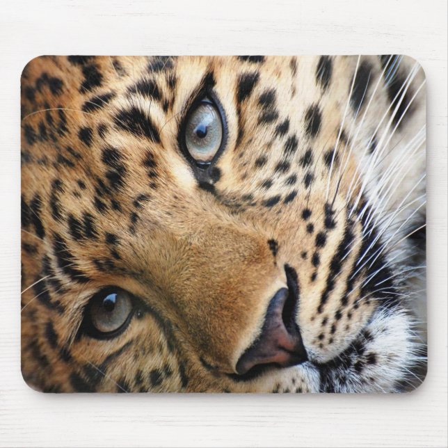 Alfombrilla De Ratón Cheetah (Frente)