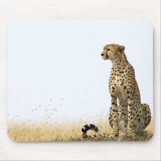 Alfombrilla De Ratón Cheetah