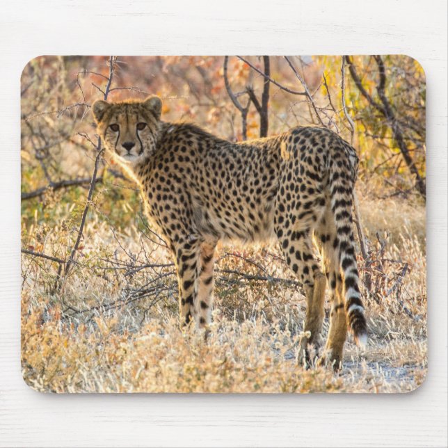 Alfombrilla De Ratón Cheetah Mirando Alrededor (Frente)