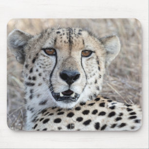 Alfombrilla De Ratón Cheetah Portrait