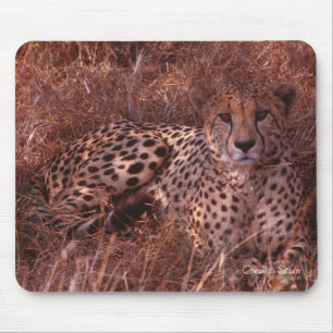 Alfombrilla De Ratón Cheetah Stare