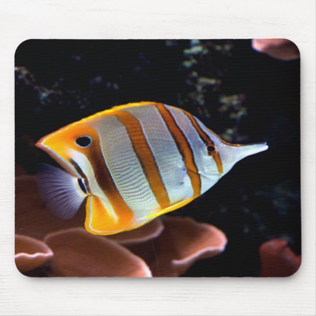 Alfombrilla De Ratón Chelmon rostratus (Frente)