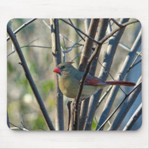 Alfombrilla De Ratón Chica Cardenal femenino