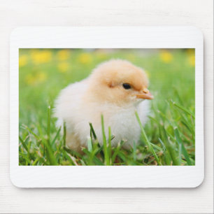 Alfombrilla De Ratón Chick