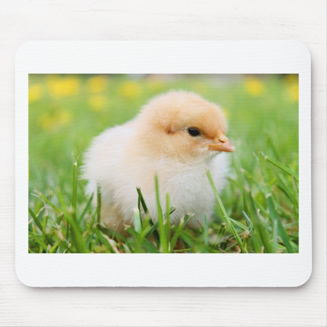 Alfombrilla De Ratón Chick (Frente)