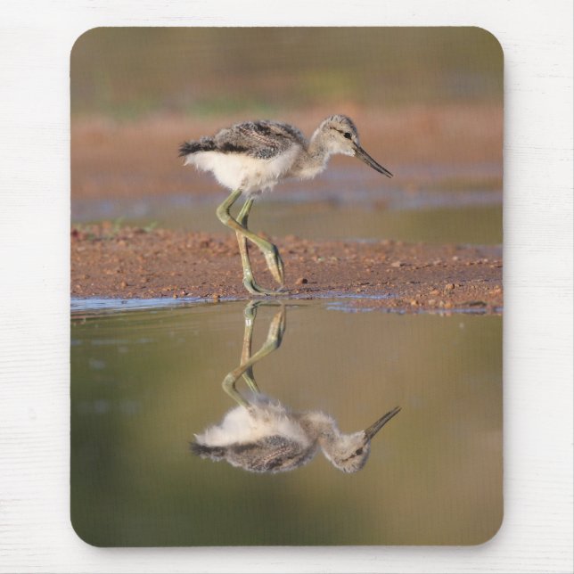 Alfombrilla De Ratón Chick aguacate (Frente)