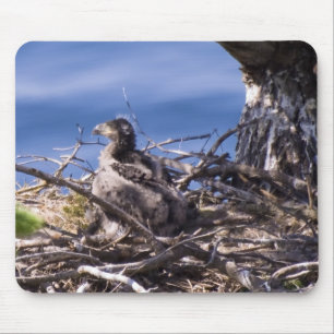 Alfombrilla De Ratón Chick con águila de águila calva - Almohadilla del