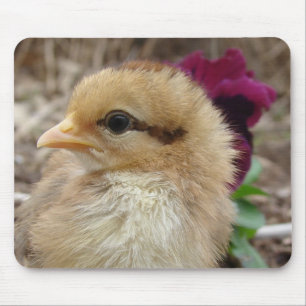 Alfombrilla De Ratón Chick en Pansy Garden
