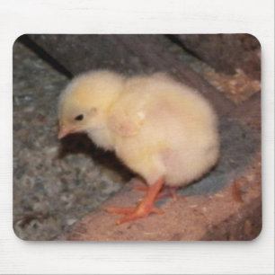 Alfombrilla De Ratón Chick recién nacido
