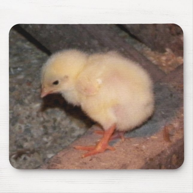 Alfombrilla De Ratón Chick recién nacido (Frente)