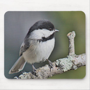 Alfombrilla De Ratón Chickadee