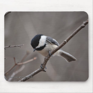 Alfombrilla De Ratón Chickadee capsulado negro
