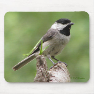 Alfombrilla De Ratón Chickadee de Carolina Mousepad