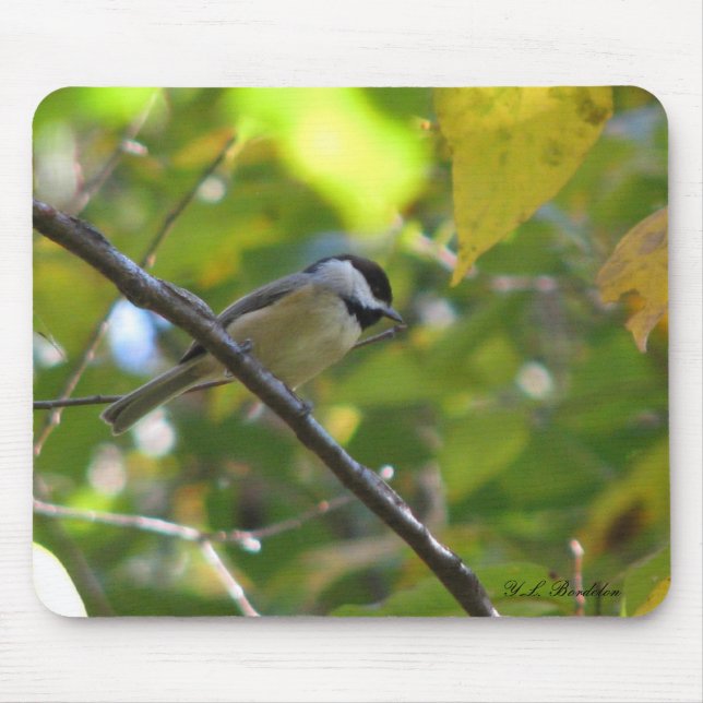 Alfombrilla De Ratón Chickadee Mousepad de la caída (Frente)