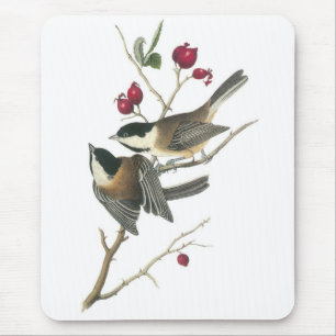 Alfombrilla De Ratón Chickadee Negro-capsulado, Juan Audubon