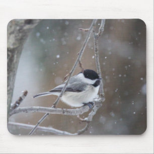 Alfombrilla De Ratón Chickadee Negro-capsulado - pájaro cantante