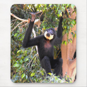 Alfombrilla De Ratón Chico Buff cheeeeeus gibbon