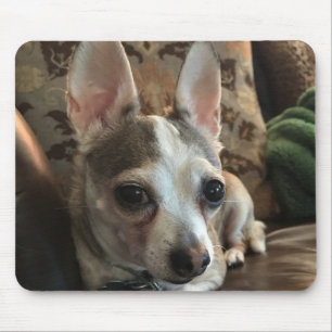 Alfombrilla De Ratón Chihuahua Dog Mousepad