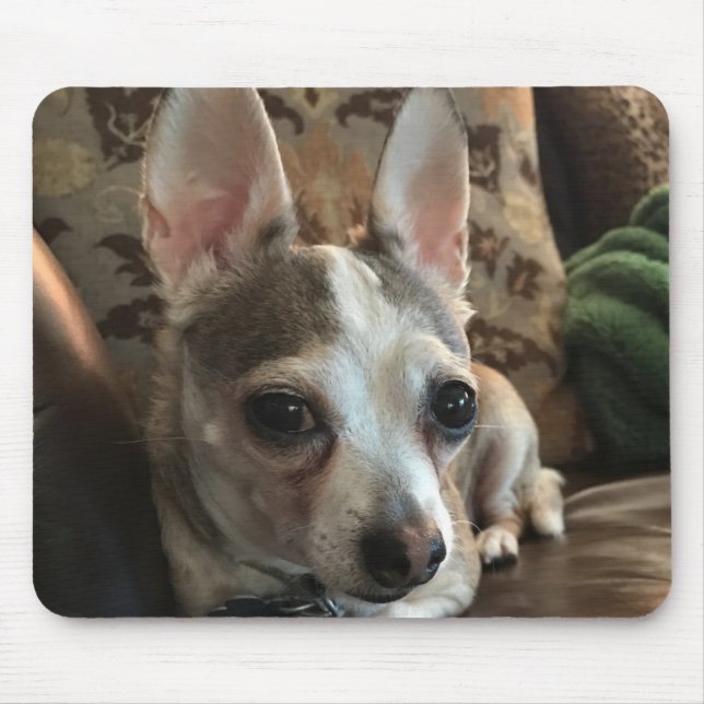 Alfombrilla De Ratón Chihuahua Dog Mousepad (Frente)