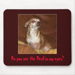 Alfombrilla De Ratón Chihuahua malvada Mousepad
