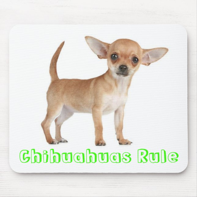 Alfombrilla De Ratón Chihuahuas Regla Papicolau Puppy Computadora Par R (Frente)