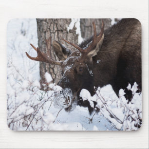 Alfombrilla De Ratón Chilly Moose