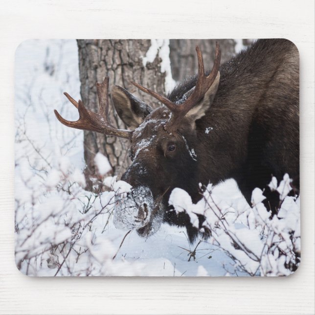 Alfombrilla De Ratón Chilly Moose (Frente)
