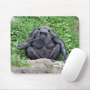 Alfombrilla De Ratón Chimpancé comiendo hierba