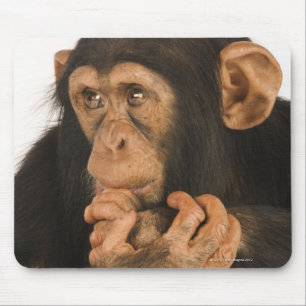 Alfombrilla De Ratón Chimpancé (trogloditas de la cacerola). Playfull