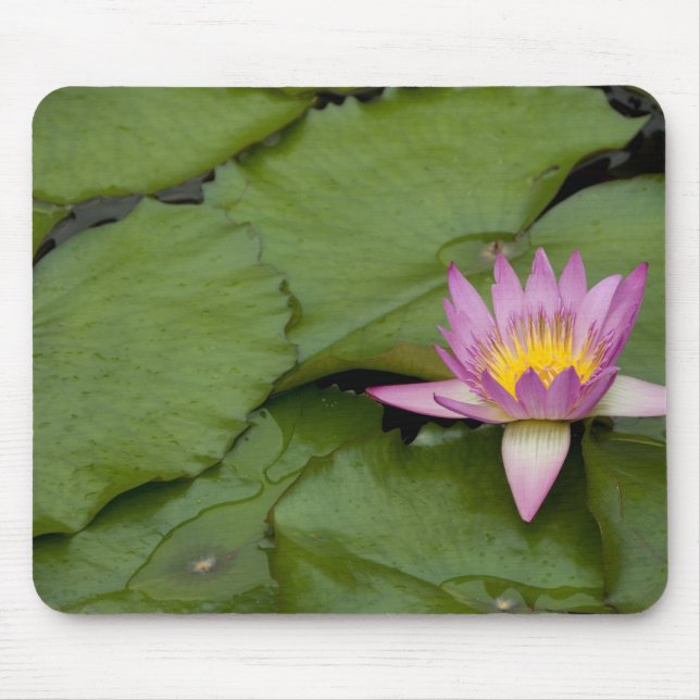 Alfombrilla De Ratón China, Hong Kong, Nuevos Territorios. Chi Lin (Frente)