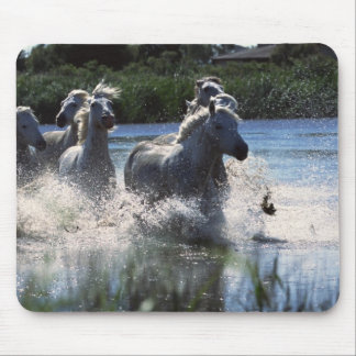 Alfombrilla De Ratón Chintoteague Ponies cruzando el canal