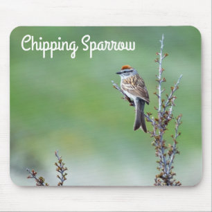 Alfombrilla De Ratón Chip Sparrow