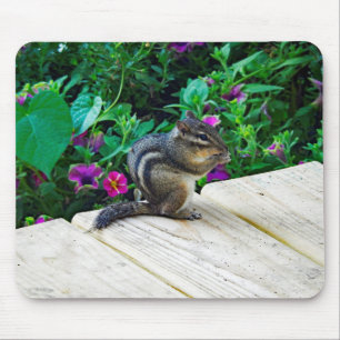 Alfombrilla De Ratón Chipmunk