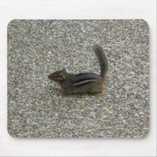 Alfombrilla De Ratón Chipmunk
